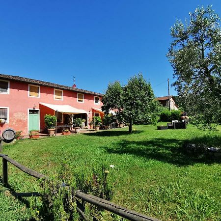 Agriturismo Al Podere Di Rosa Lucca Bagian luar foto