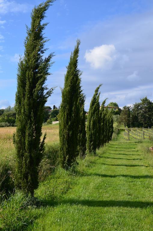 Agriturismo Al Podere Di Rosa Lucca Bagian luar foto