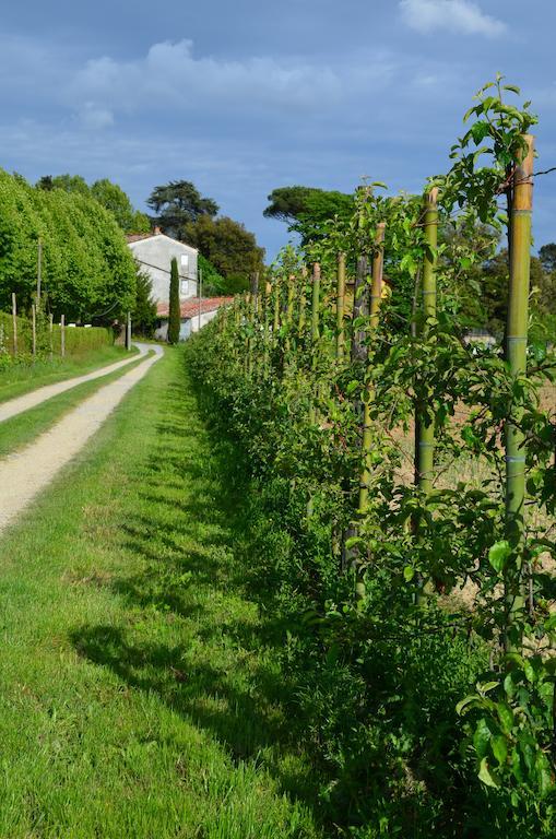 Agriturismo Al Podere Di Rosa Lucca Bagian luar foto