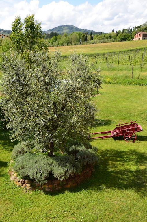Agriturismo Al Podere Di Rosa Lucca Bagian luar foto