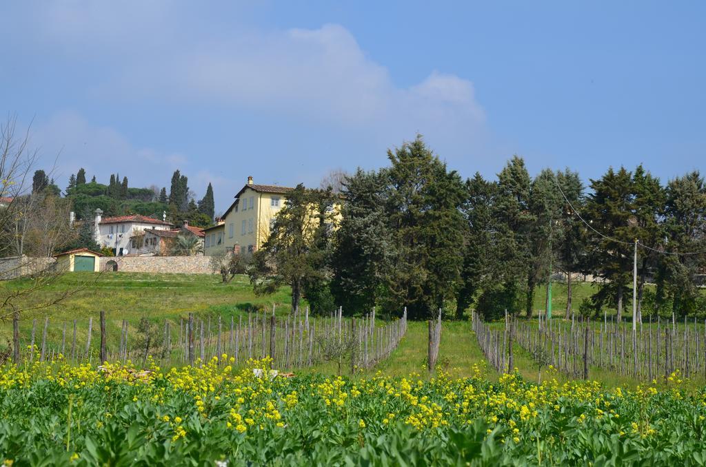 Agriturismo Al Podere Di Rosa Lucca Bagian luar foto